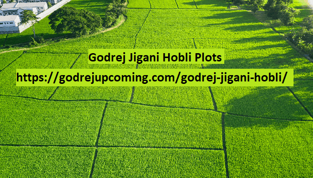 Godrej Jigani Hobli, Godrej Jigani Hobli plots bangalore, Godrej Plots Jigani Hobli bangalore, Residential plots Jigani Hobli bangalore, Godrej Jigani Hobli property, Godrej Jigani Hobli plot price,