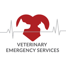 Reliable Emergency Veterinary