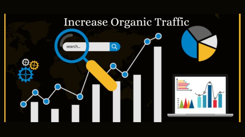 Organic Traffic, how to increase organic traffic for your website, top seo services to grow your business online, boost website online sales, top seo services for local business, improve website online visibility